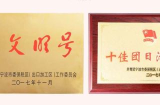 甯波萌恒工貿有限公司榮獲“青年(nián)文(wén)明(míng)号”、“十佳團日(rì)”稱号